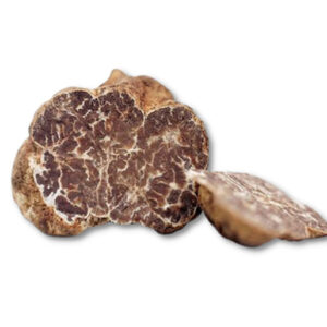 TRUFFE BIANCHETTO (Tuber borchii)