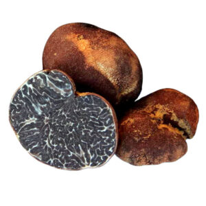 truffes des appalaches