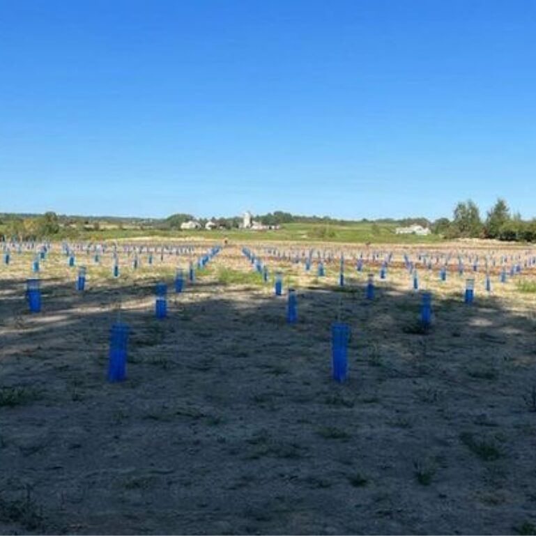 Les Maraîchers du Grand Bellechasse