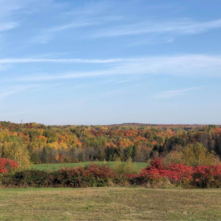 Les Maraîchers du Grand Bellechasse