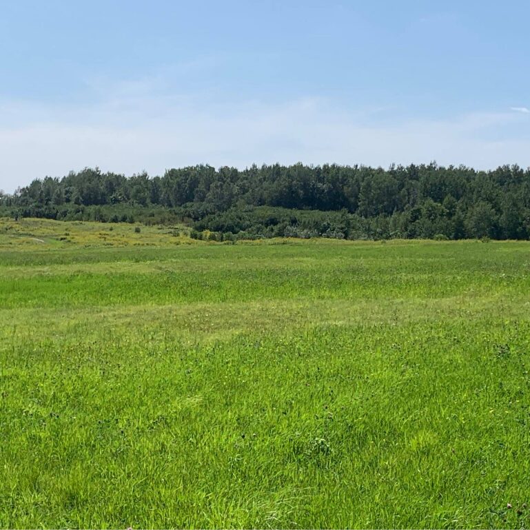 Les Maraîchers du Grand Bellechasse